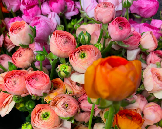 Floral Subscription